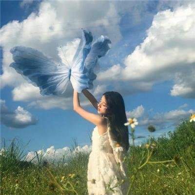 鲨海血危机